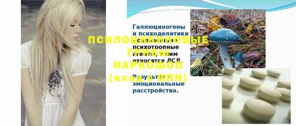 2c-b Богородск