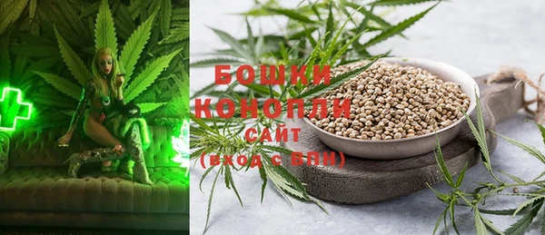 2c-b Богородск