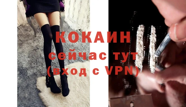 прущий лед Богданович