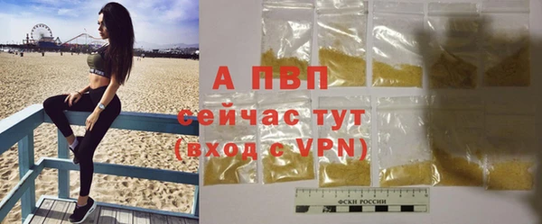 прущий лед Богданович